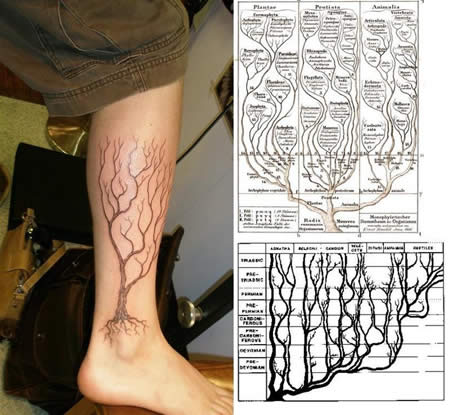 tree of life tattoo ideas. The tree of life