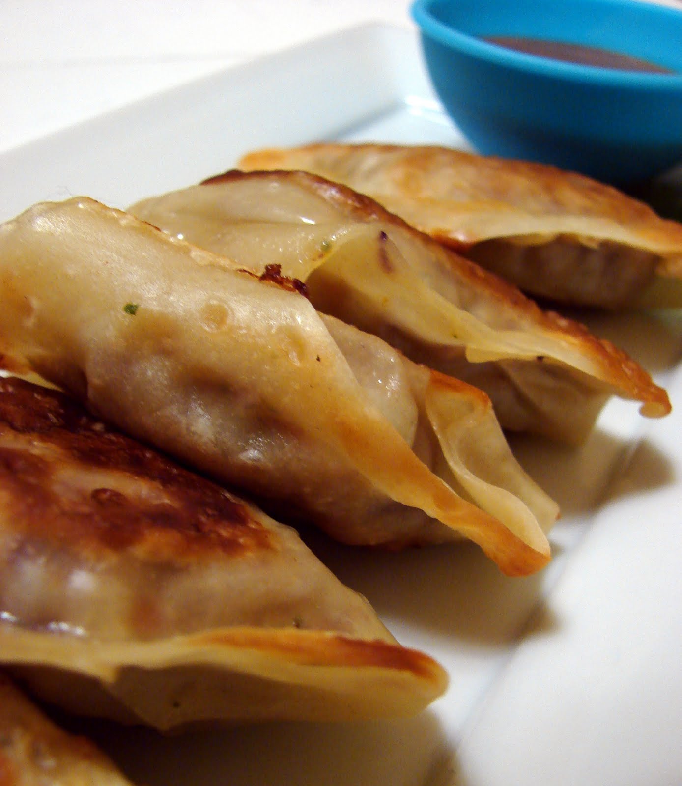 iron stef thai potstickers