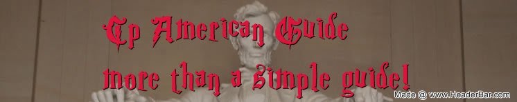 Club Penguin American Guide