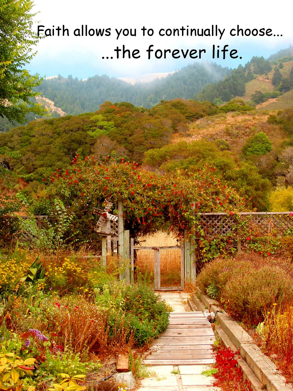 [Faith_forever54_SF.jpg]