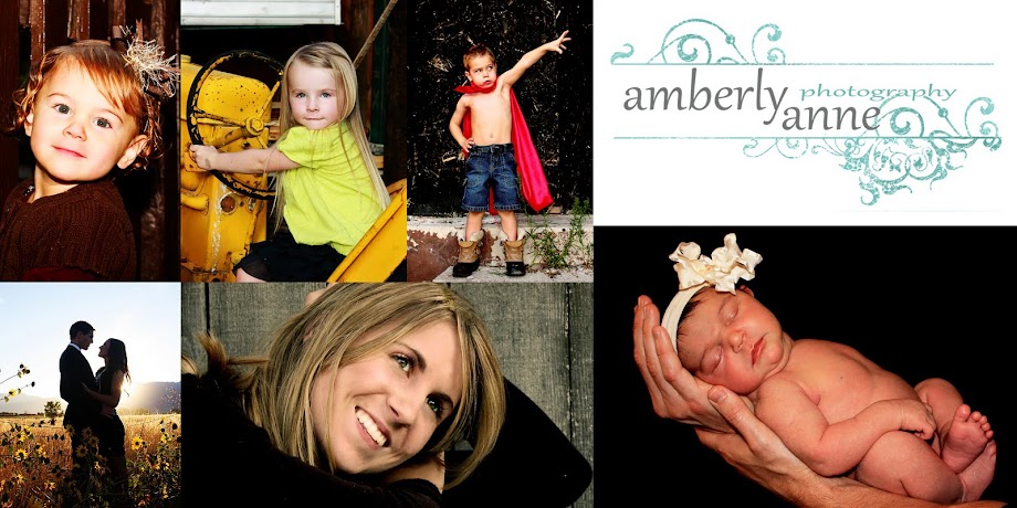 Amberly Anne Photography
