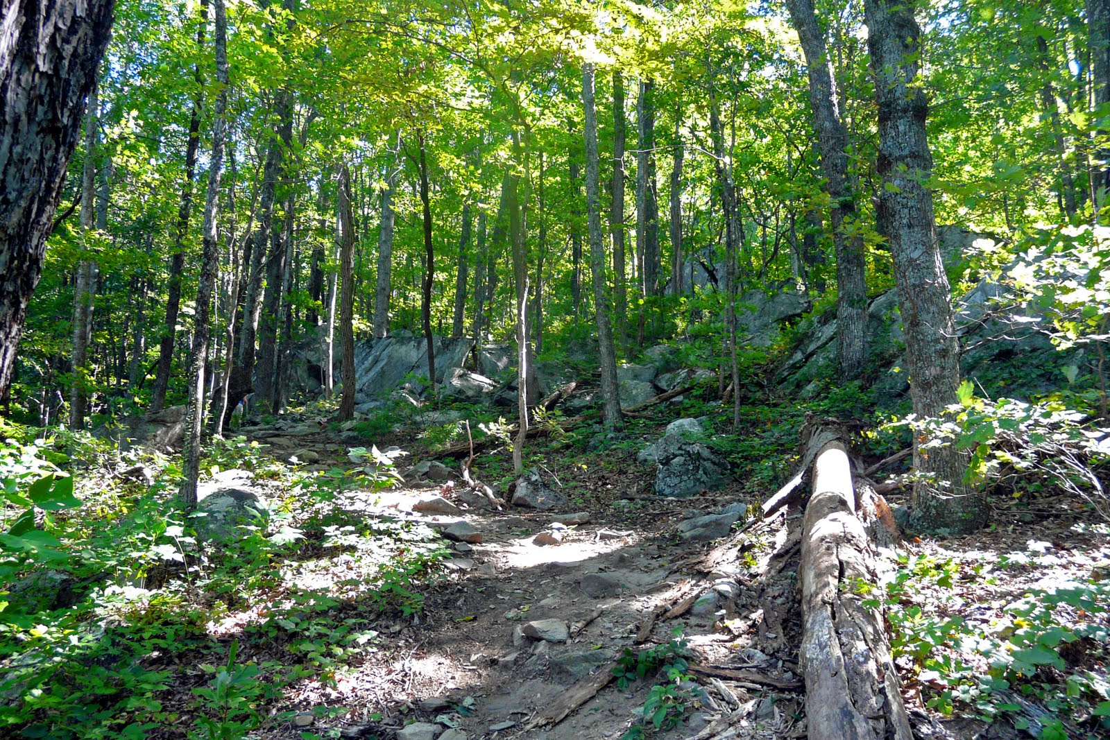 hiking in stilettos Weekend Adventure No. 6 Mount Yonah