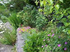 Garden From the Sidewalk