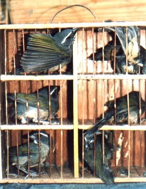 [transporte_d362d9.jpg]