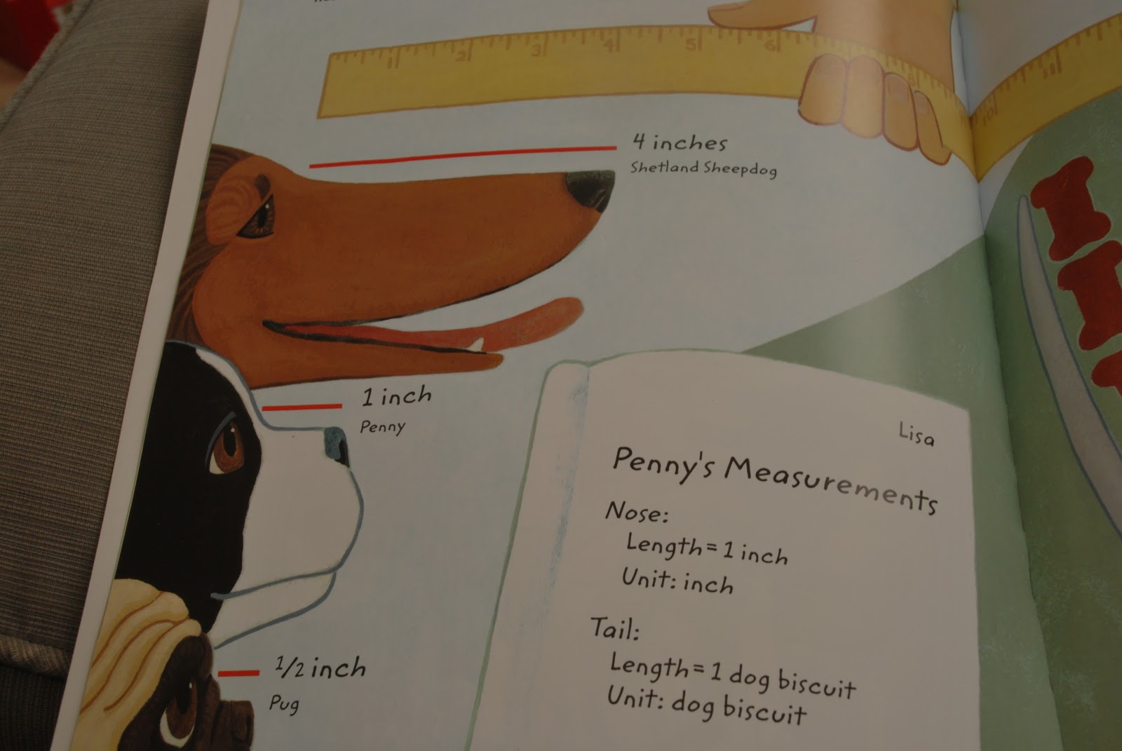 Everyday Carnival: i is for inchworm - Preschool Lesson