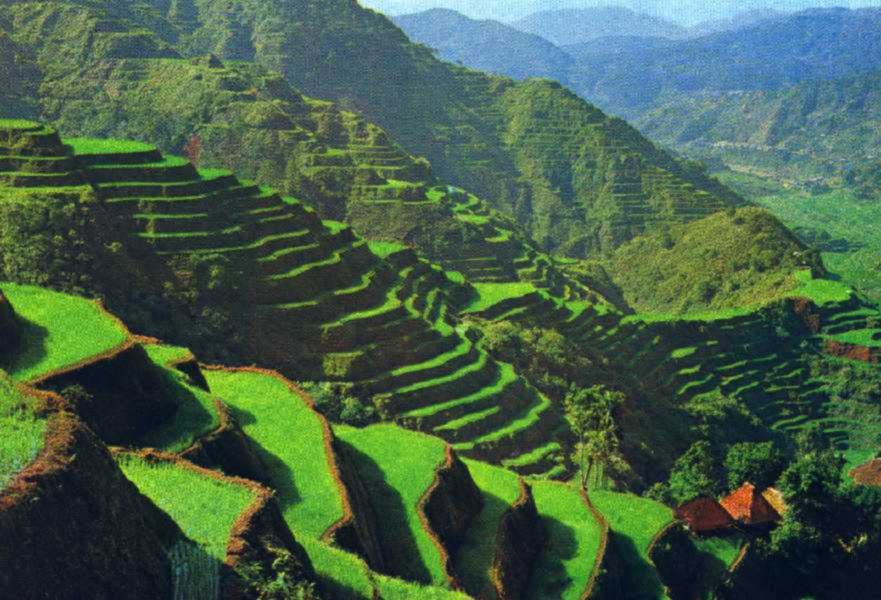 Banaue Rice Terraces | Philippine Tourism