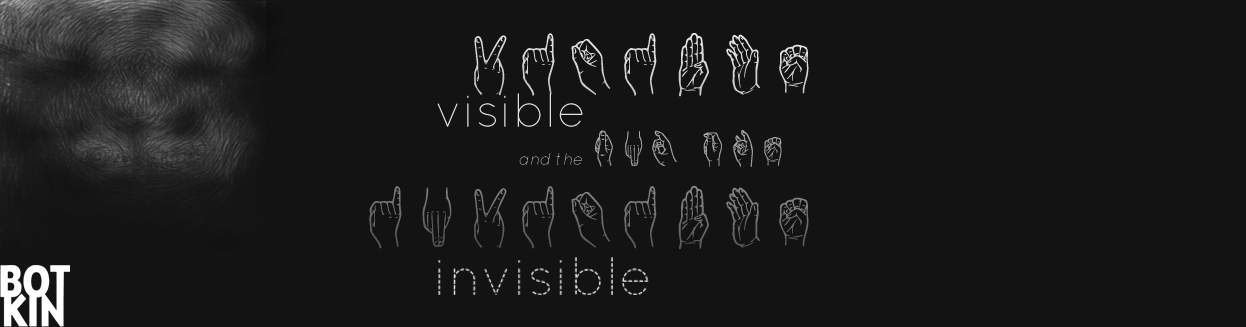 visible and the invisible