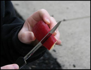 Checkered Apple