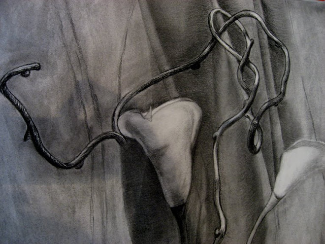 Yujung Kim, charcoal on paper, 05-01-08