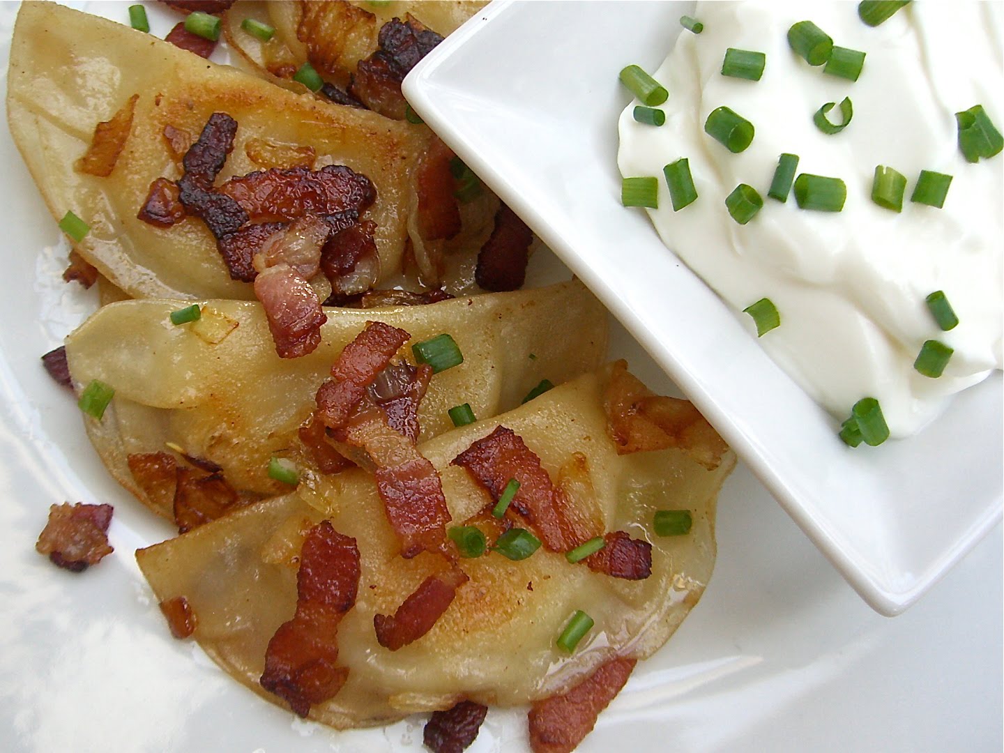 Shortcut Pierogies Lauren's Latest