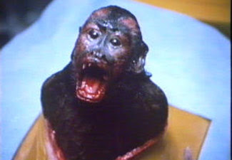 and helper monkeys.