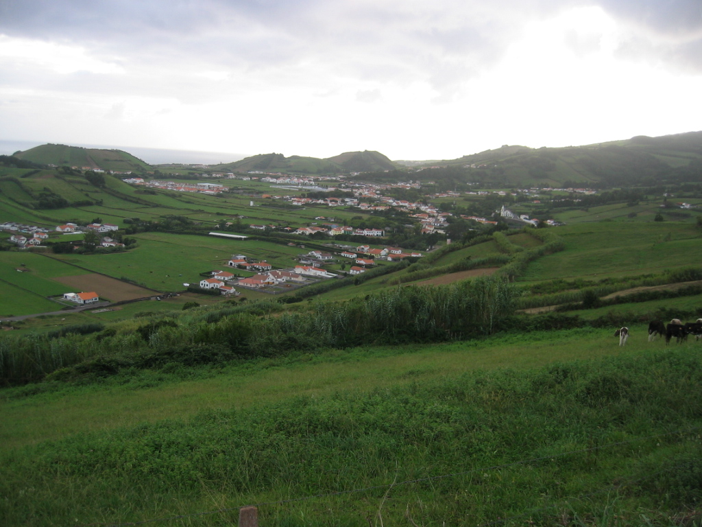 [IMG_0114.JPG]