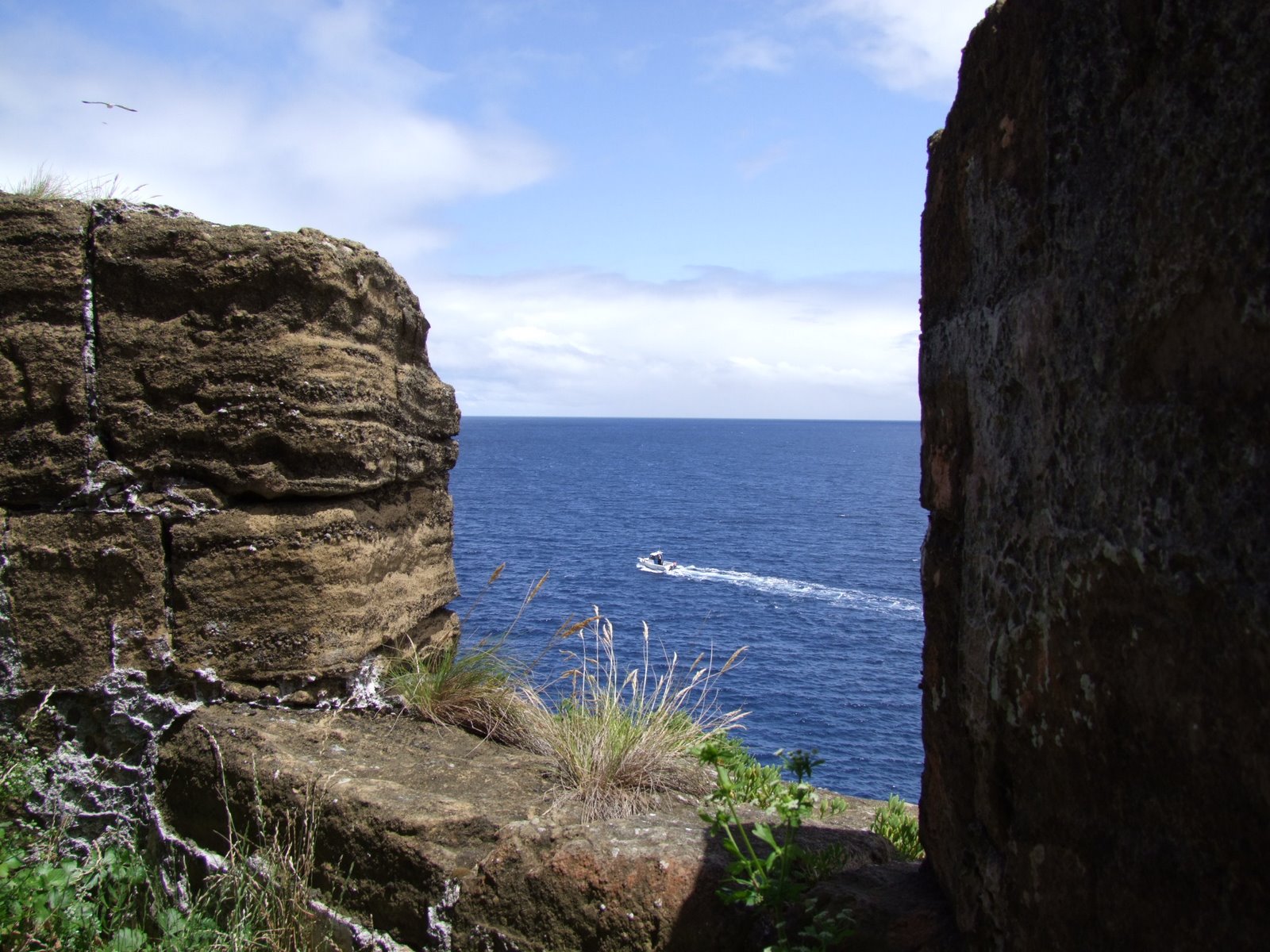 [Forte+da+Greta+-+Faial+(7).JPG]
