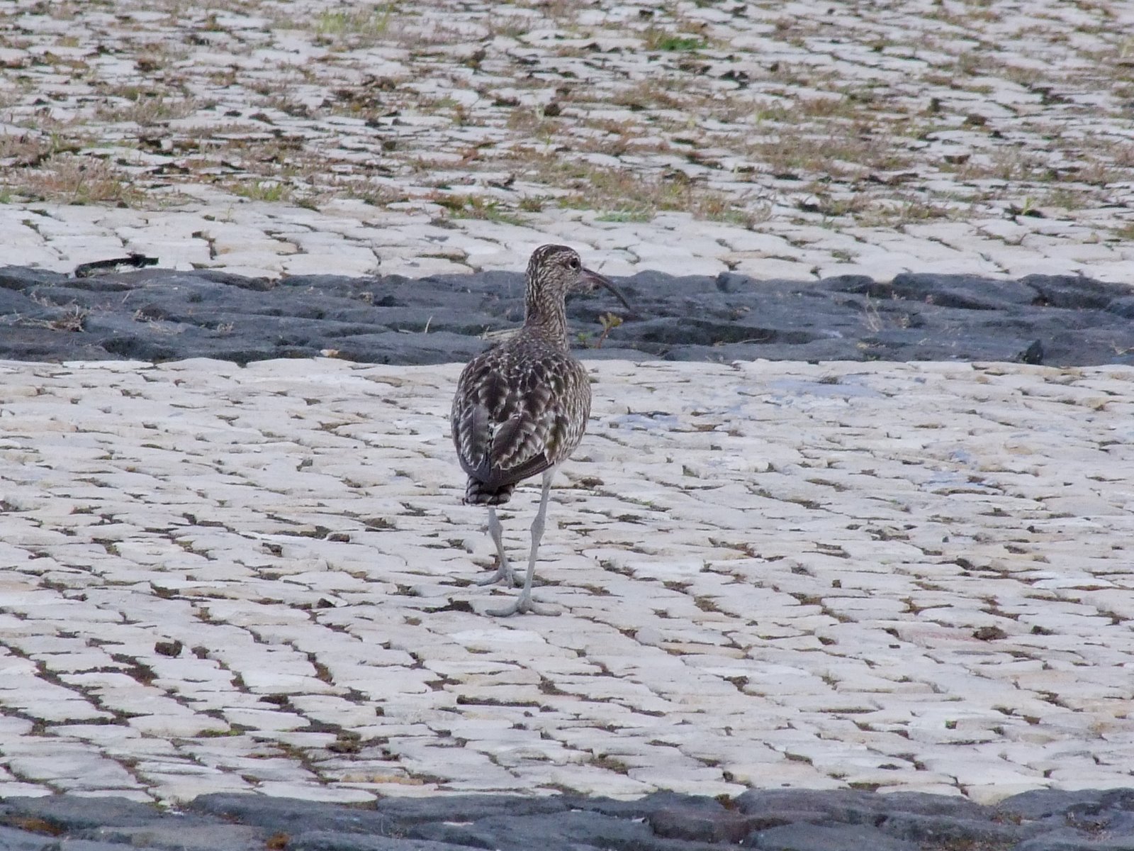 [Ave+na+Marina+(1).JPG]