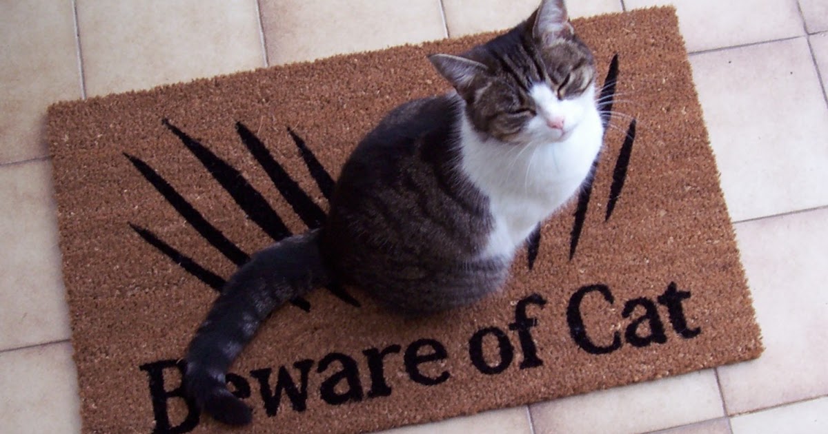 Corners of my Mind The Cat sat on the Mat