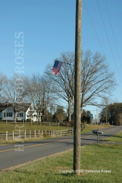 [1205Flag.gif]