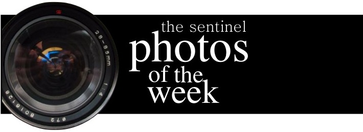 Photos of the Week