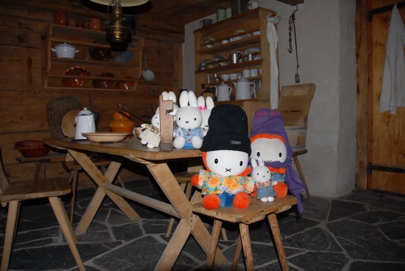 [bunny_council_meeting.jpg]
