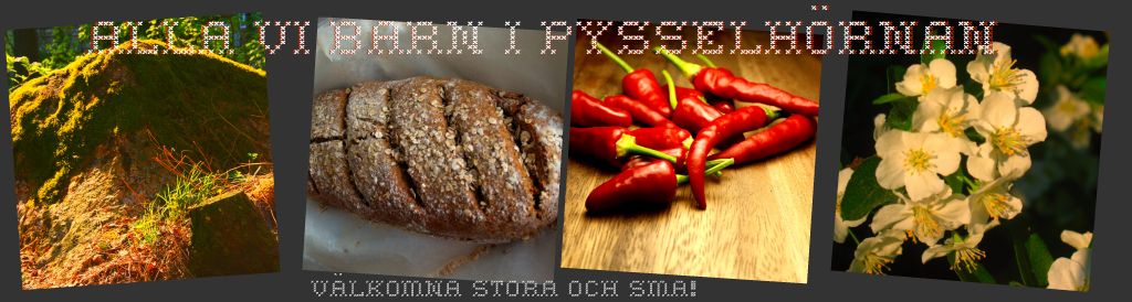 ALLA VI BARN I PYSSELHÖRNAN