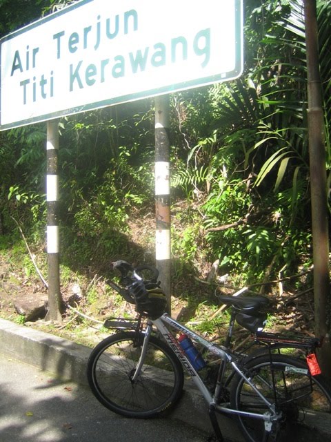 [nov09+151.jpg]