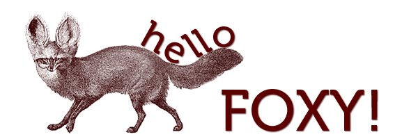 Hello Foxy