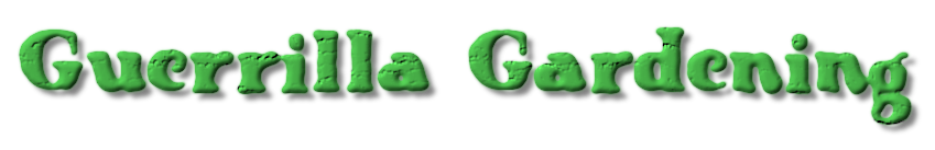 Guerrilla Gardening
