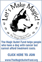 Magic Bullet Fund