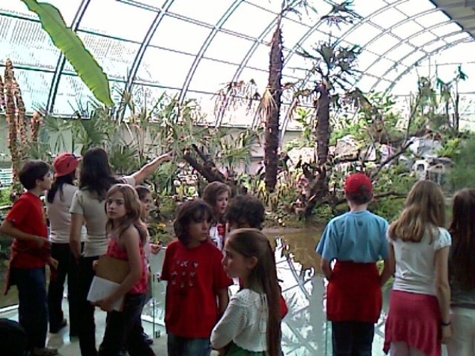 [IMAG0077.JPG]
