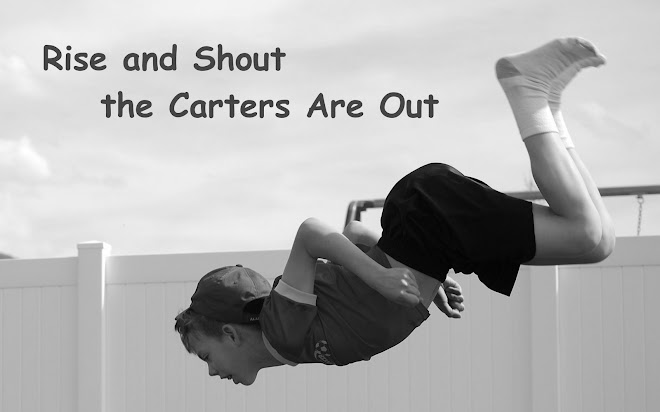 Rise & Shout the Carters Are Out