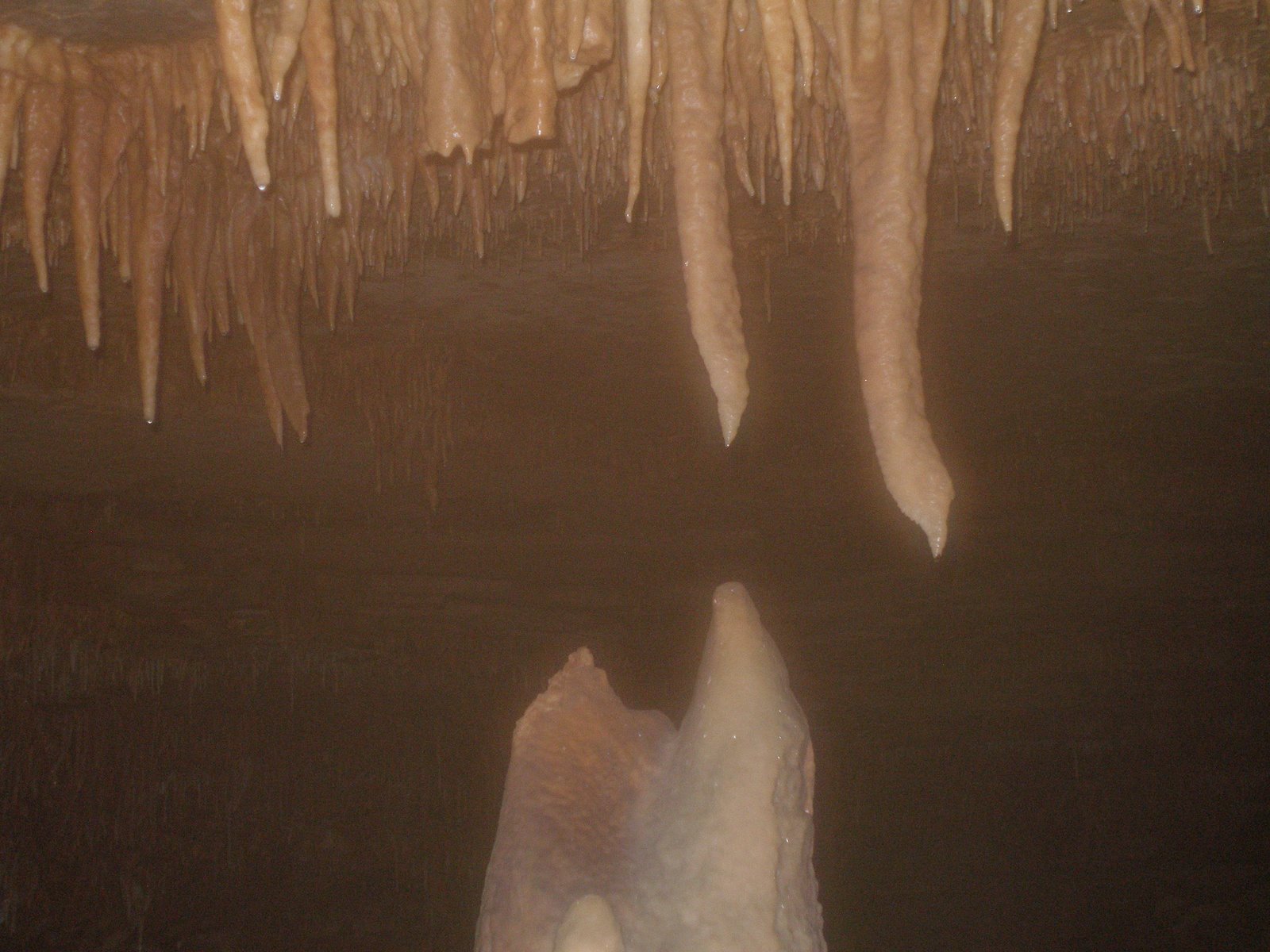 [P2021044.JPG]