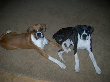 Leila and Lucky