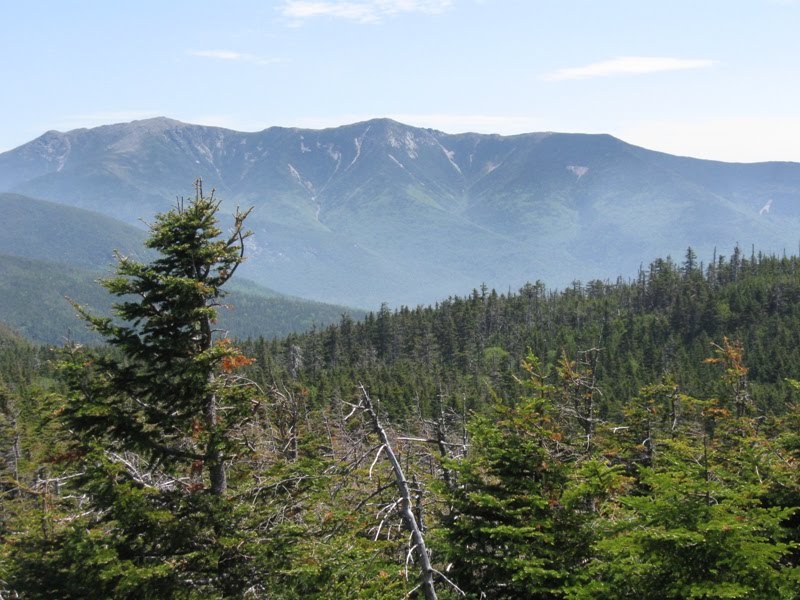 Birding North Central Massachusetts..... White Mountain Hike (N. and S