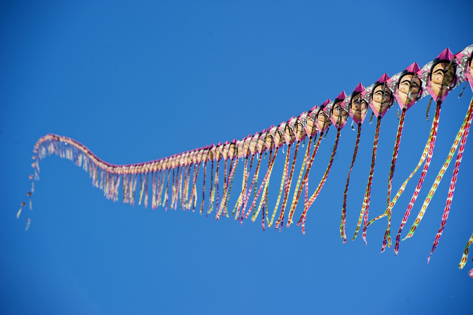 Claudia and Oliver's Korean Adventure Random Gallery