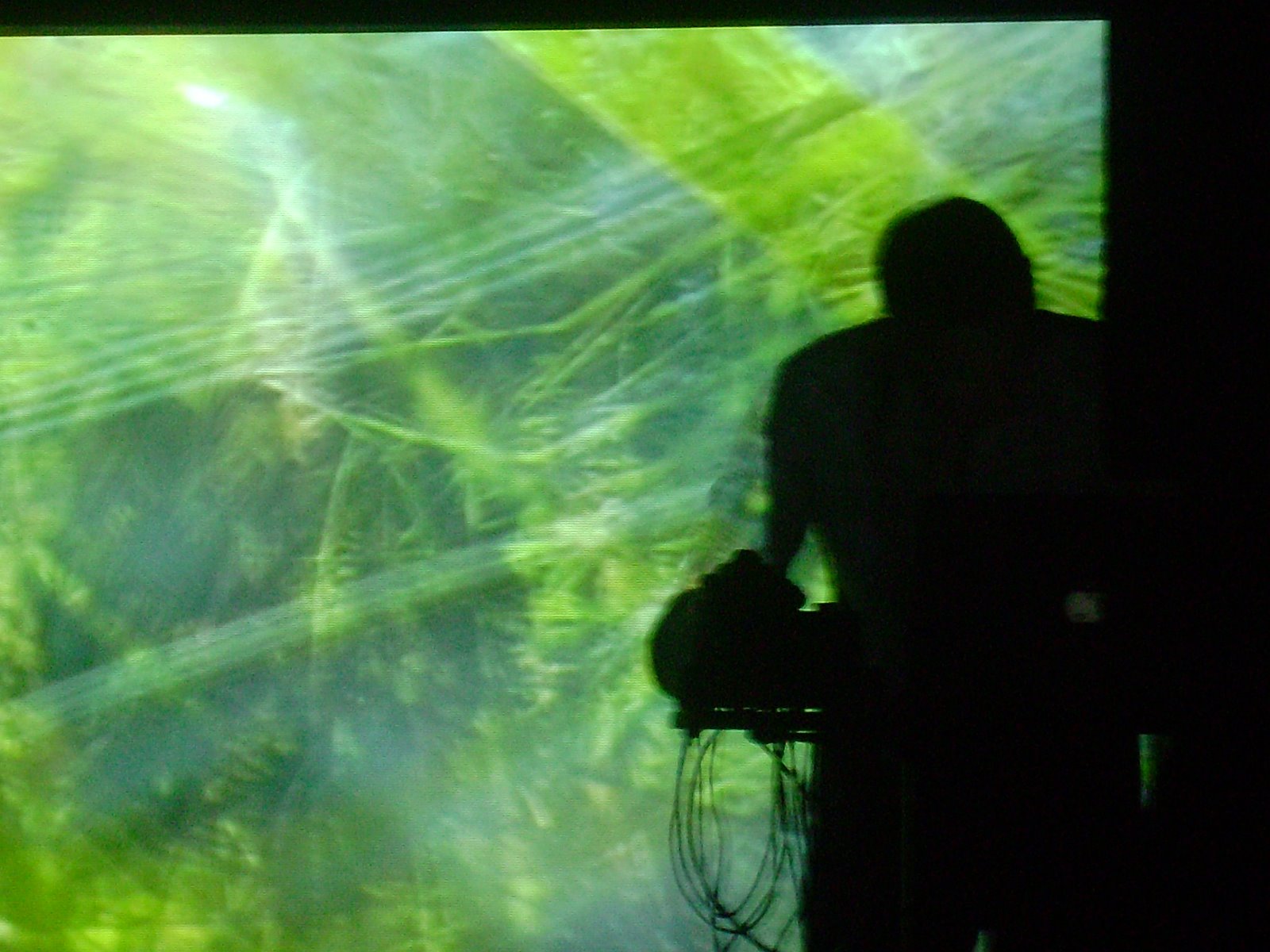 [tom+hall+SG+(8).JPG]