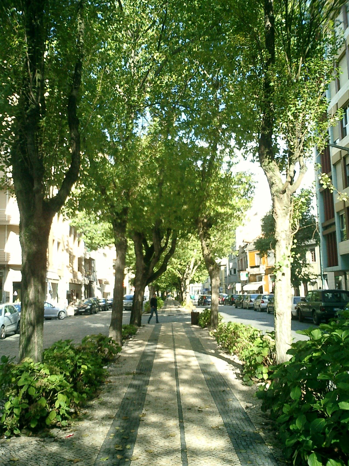 [CIMG0043.JPG]