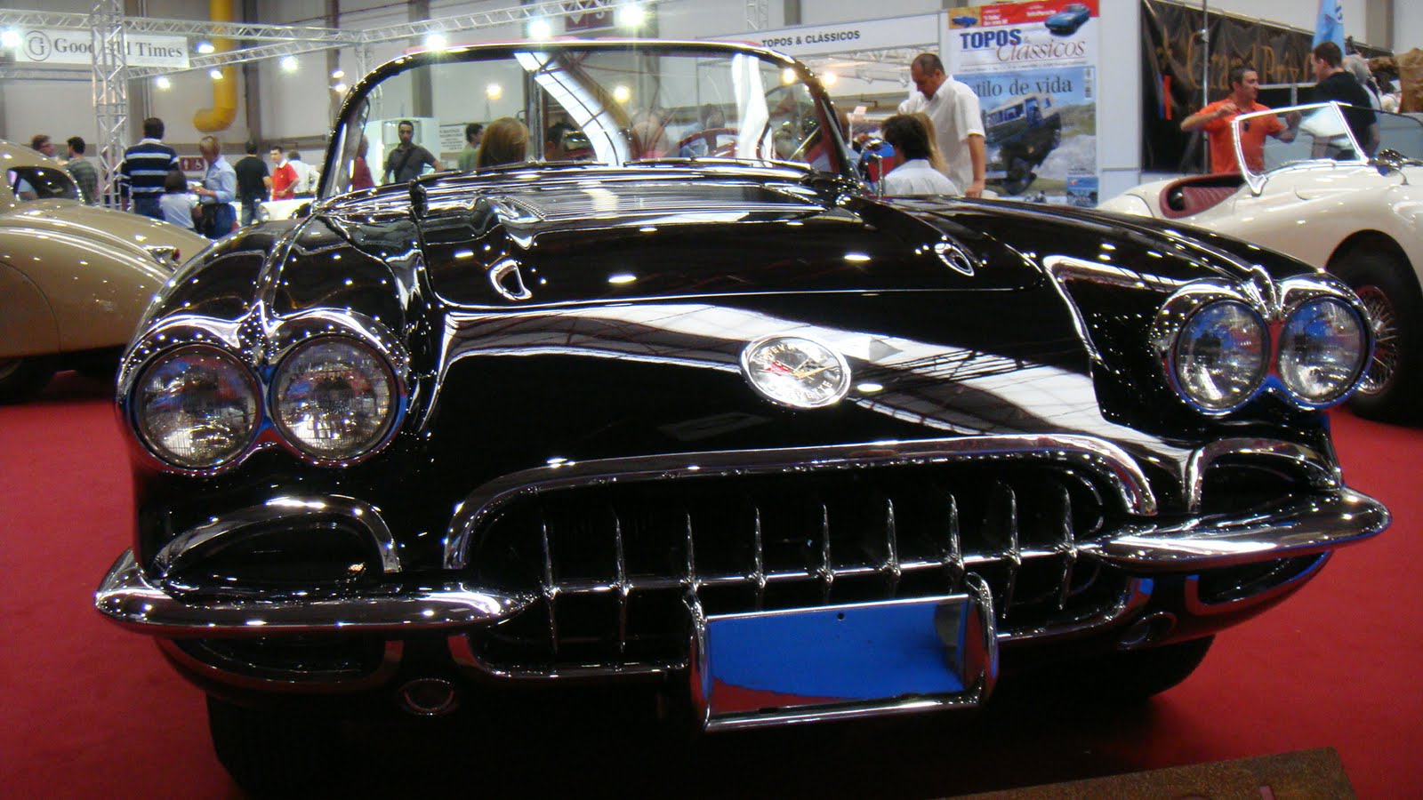 [DSC02797.JPG]