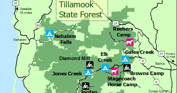 Tillamook state forest poker run