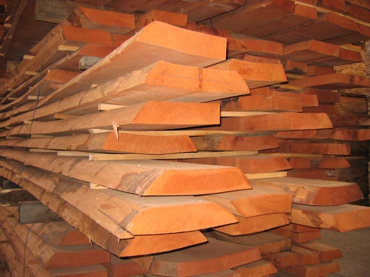 Furniture Trends News Where does my wood come from?