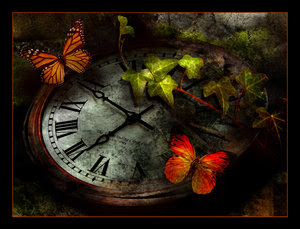 reloj mariposa