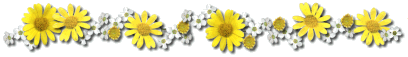 [girasoles+separadores.gif]