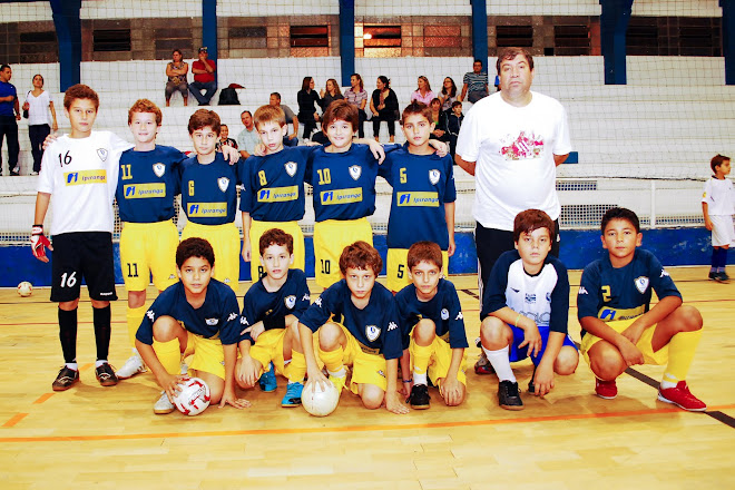 Liga de Futsal Joinville - 2010