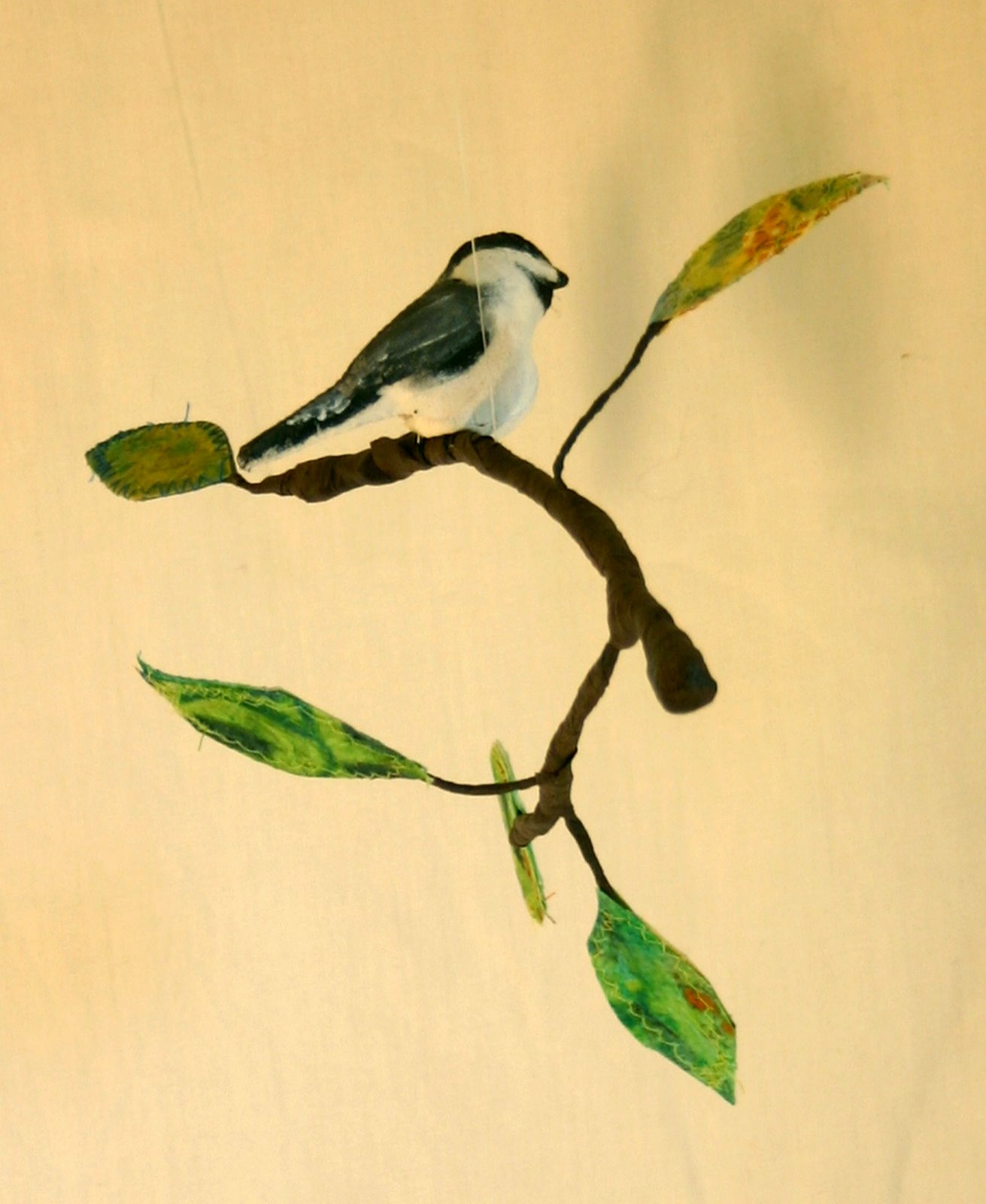 [Chickadee+2.jpg]