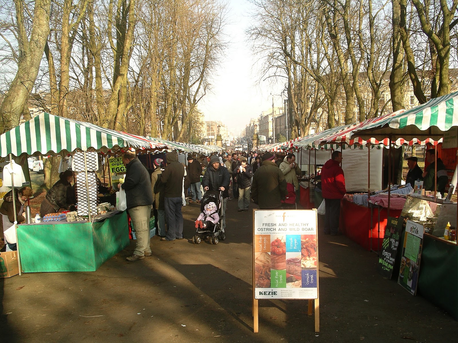 Southside Happenings Queen's Park Farmers' Market Harvest