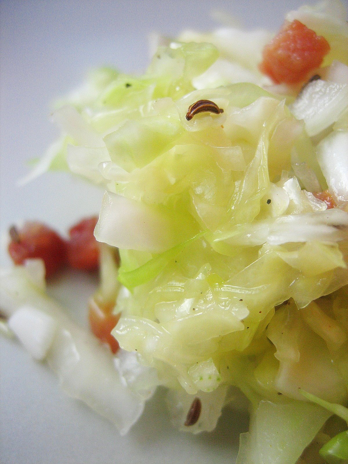 [Fresh+cabbage+salad.JPG]
