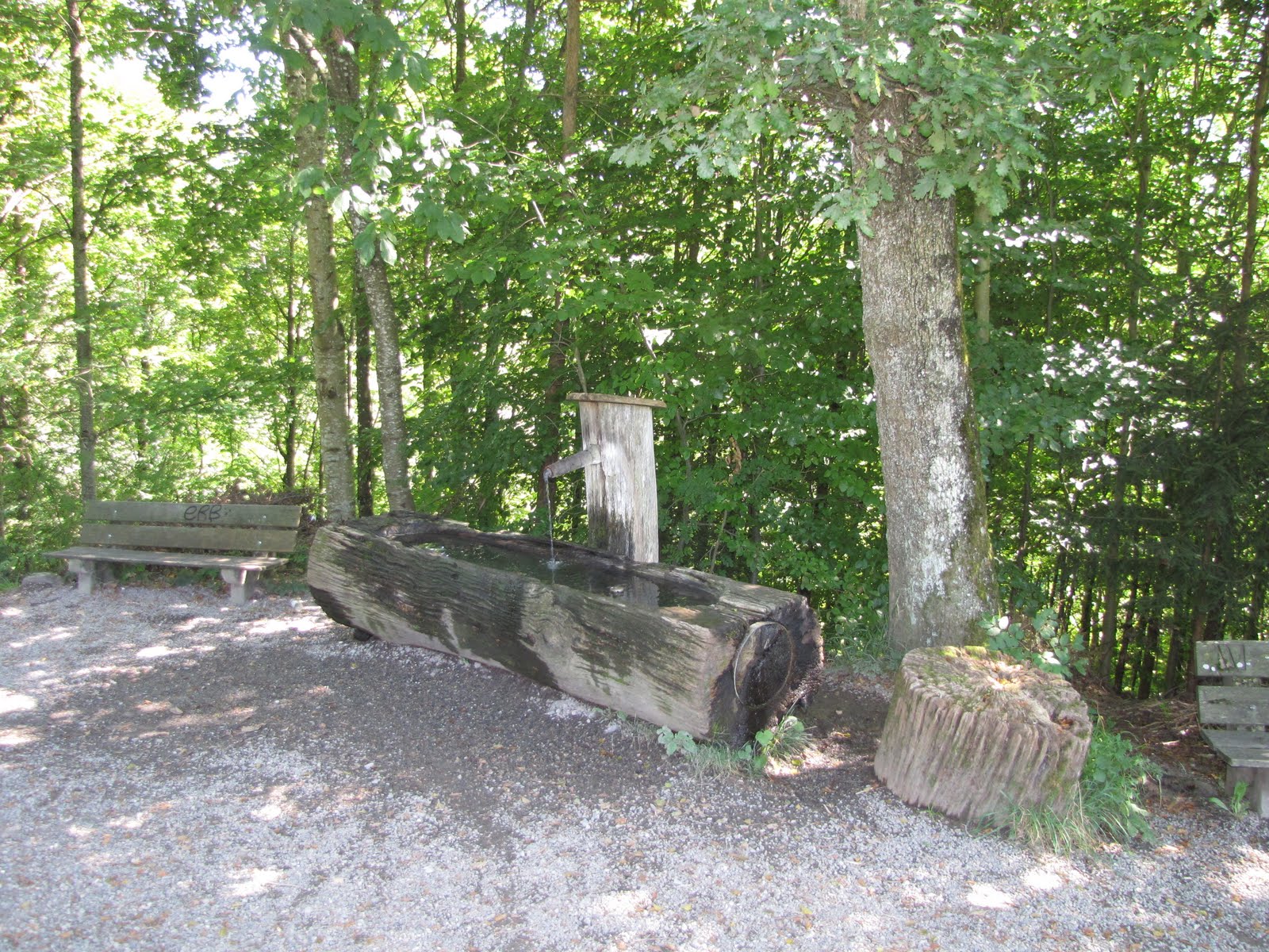 [IMG_1745.JPG]