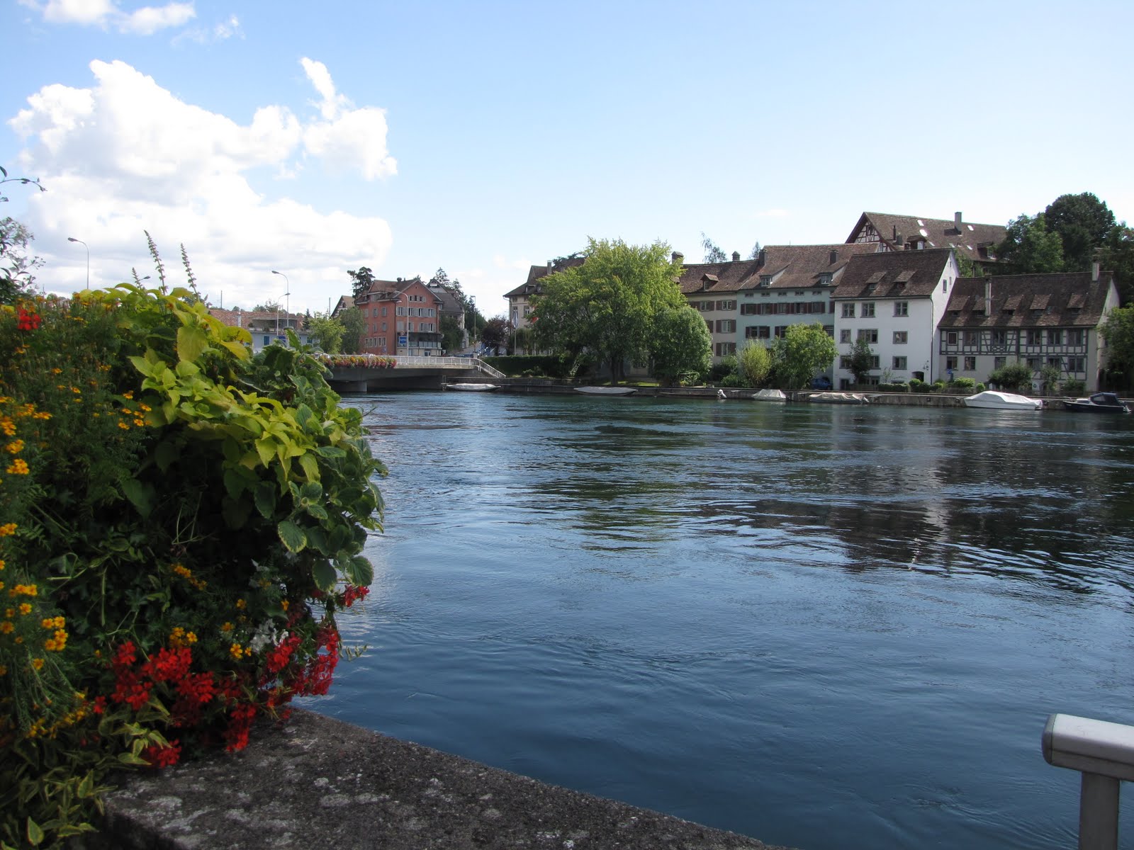 [IMG_1853.JPG]