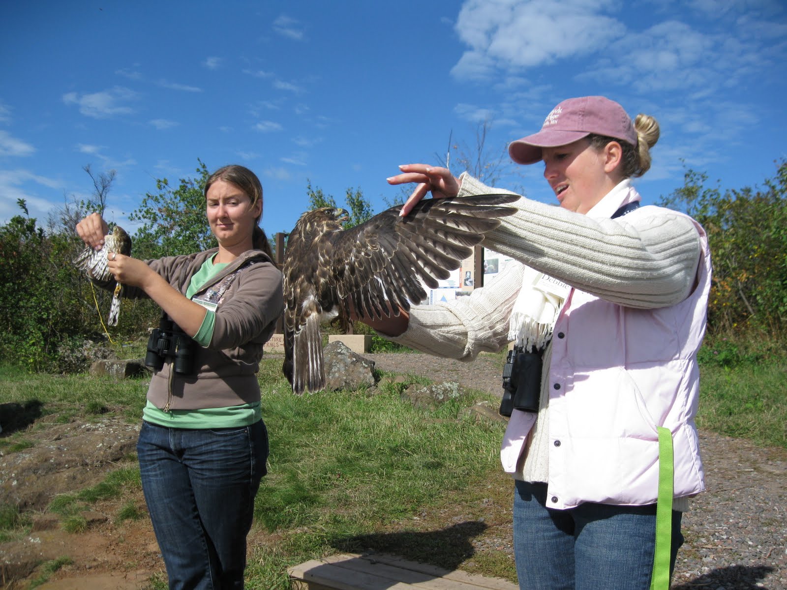 Phoenix Fire Falconry Hawk Ridge, Duluth, MN