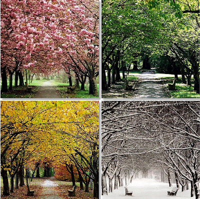 Ποια εποχή προτιμάτε!? Seasons+Change
