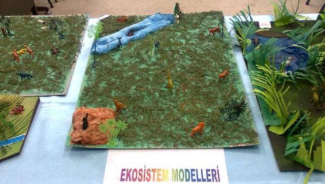 Aumiazura's Blog: Contoh Media Maket Ekosistem