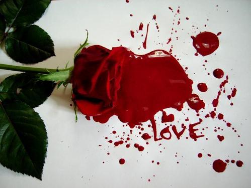 my love my love